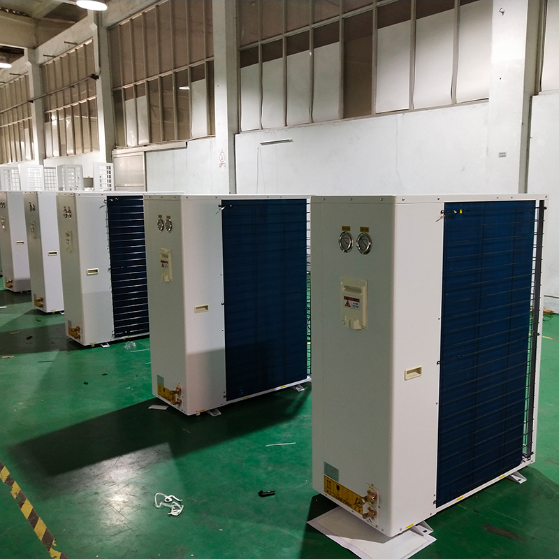 ��˾����